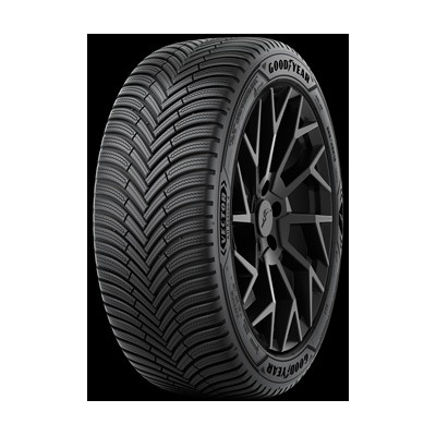  Comprar neumáticos 205/55R16 94V XL VECTOR ALL SEASON 4