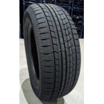 225/65R17 102H ICEPIONEER 868